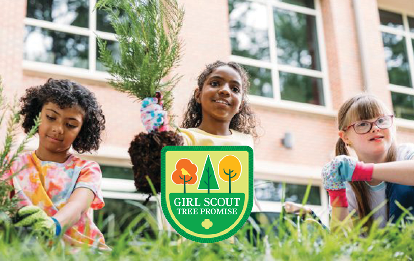 Girl Scout Tree Promise