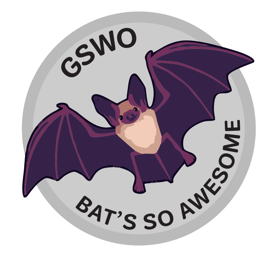 GSWO Bat's so awesome patch