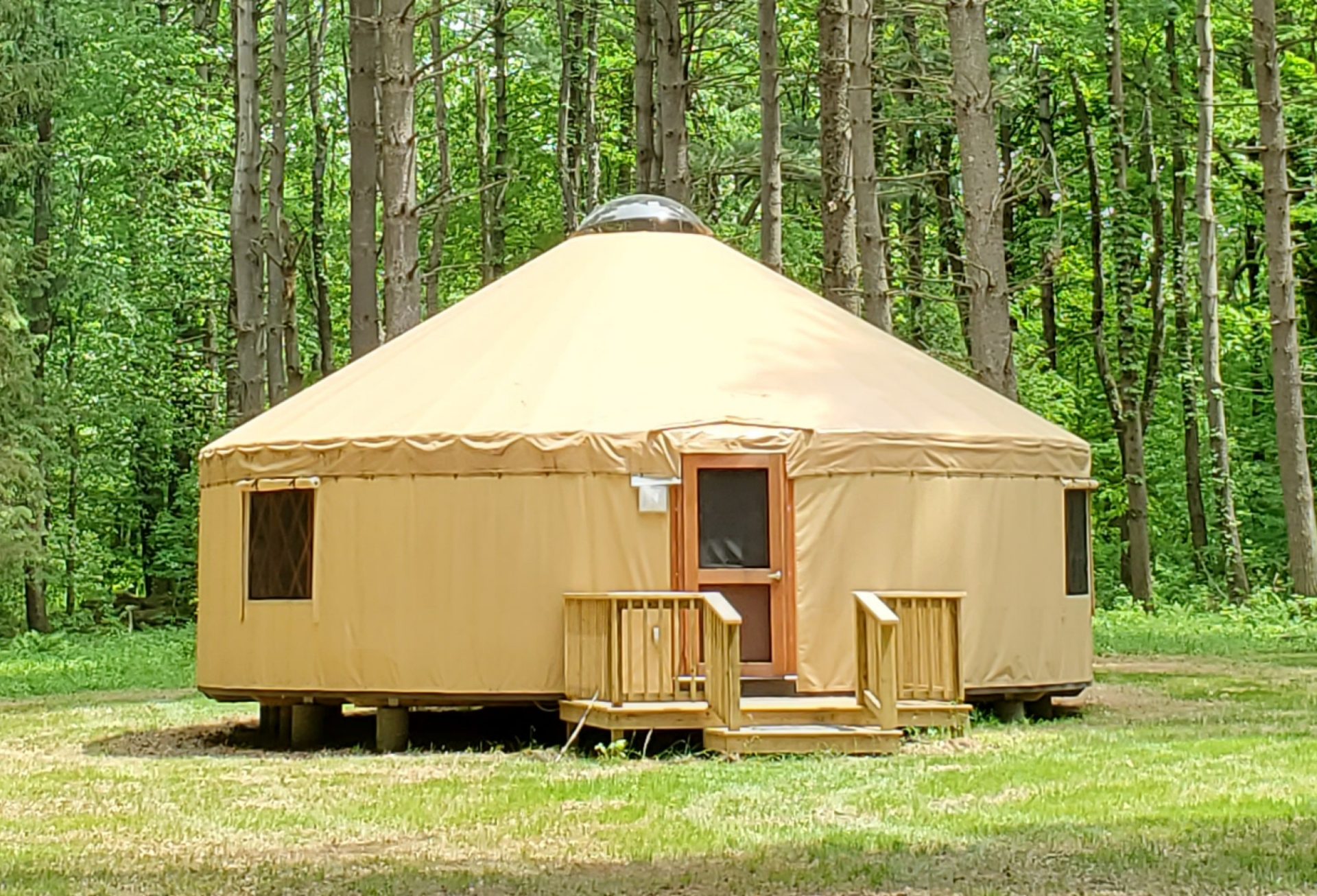 Photo of the new yurt at Camp Libbey surrounded by trees and forest